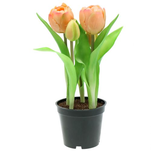 Floristik24 Tulipán Real-Touch broskev 23cm