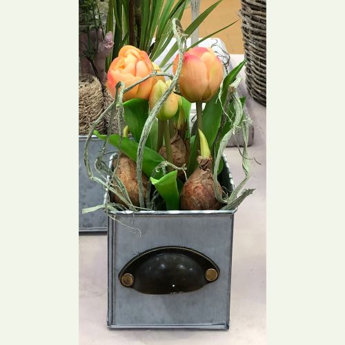 Floristik24 Papoušek tulipán Real-Touch v květináči růžový 23cm