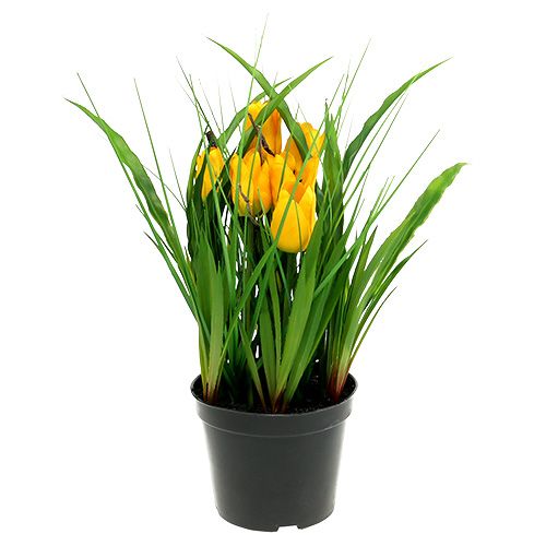 Floristik24 Tulipány ve žlutém květináči 30cm