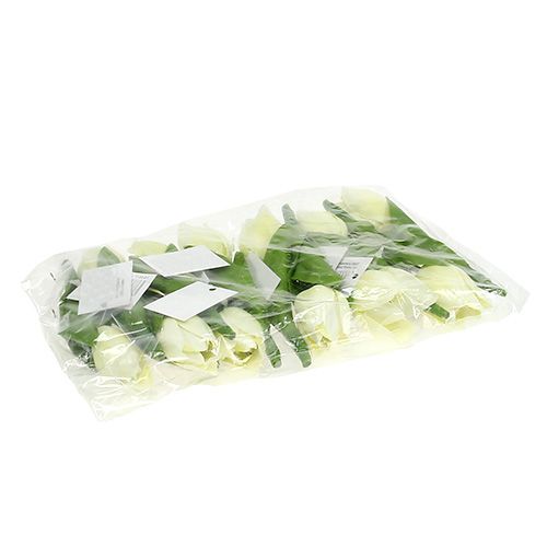 Floristik24 Jarní dekorace, umělé tulipány, hedvábné květiny, dekorativní tulipány zelené/krémové 12 kusů