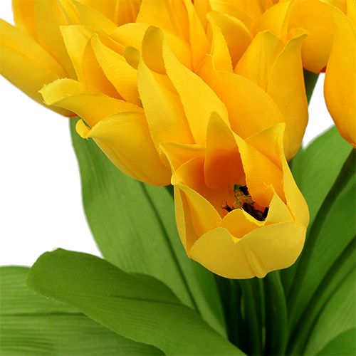 Floristik24 Tulipánový keř žlutý V30cm