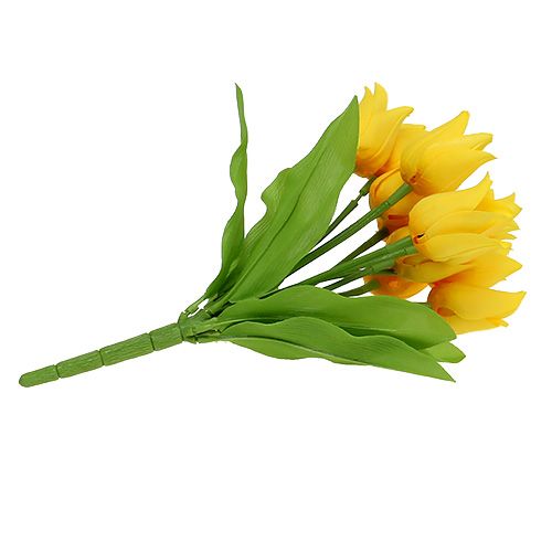 Floristik24 Tulipánový keř žlutý V30cm