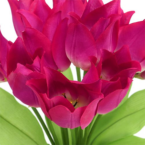 Floristik24 Tulipánový keř růžový L 30cm
