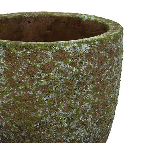 Floristik24 Květináč mechově šedý, zelený Ø14cm V14cm 2ks