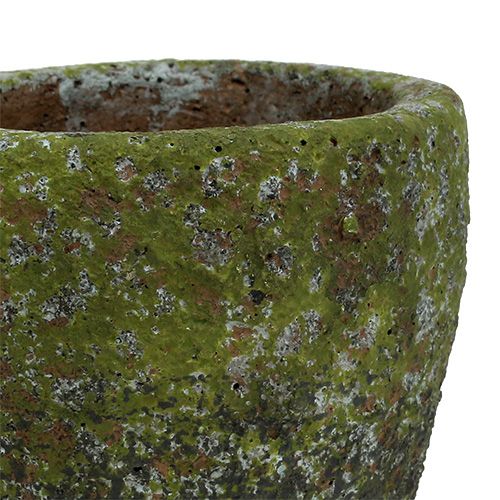 Floristik24 Květináč s mechem Ø10cm V10,5cm 4ks