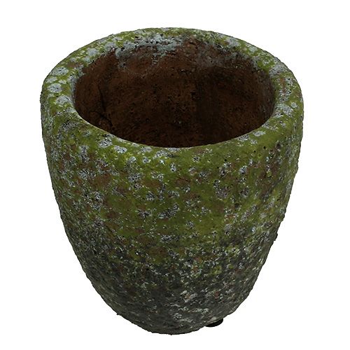 Floristik24 Květináč s mechem Ø10cm V10,5cm 4ks