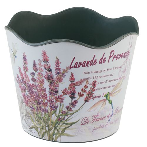 položky Sázecí plastový květináč letní levandule Ø16,5cm V13,5cm
