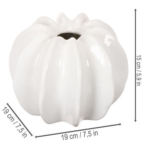 Dekorativní váza s dýní, lesklá, podzimní dekorace do obývacího pokoje, 19 cm | Floristik24.cz