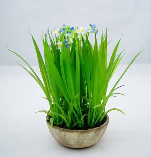 Floristik24 Pomněnka s trávou a miskou 18cm