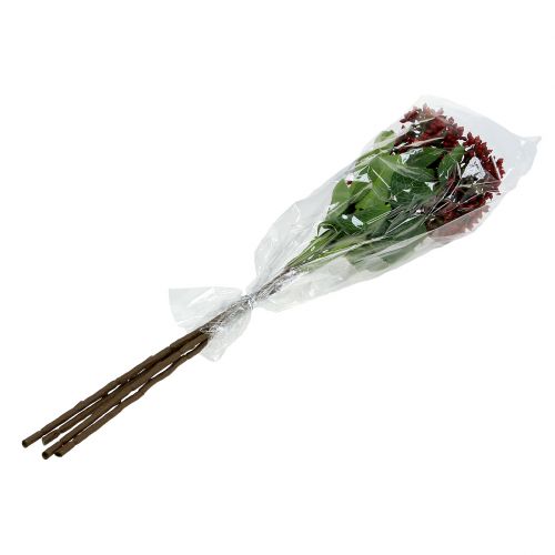 Floristik24 Větev bobule červená kalina bobule 54cm 4ks