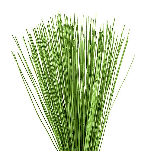 Floristik24 Vlei Reed 400g světle zelená