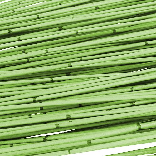 Floristik24 Vlei Reed 400g světle zelená