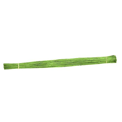 Floristik24 Vlei Reed 400g světle zelená