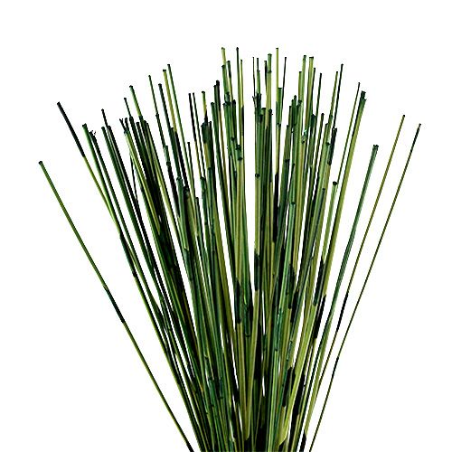 Floristik24 Vlei Reed 400g tmavě zelená