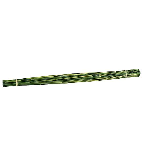 Floristik24 Vlei Reed 400g tmavě zelená