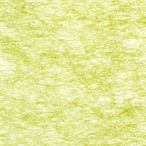Floristik24 Fleece olivově zelená 23cm 25m