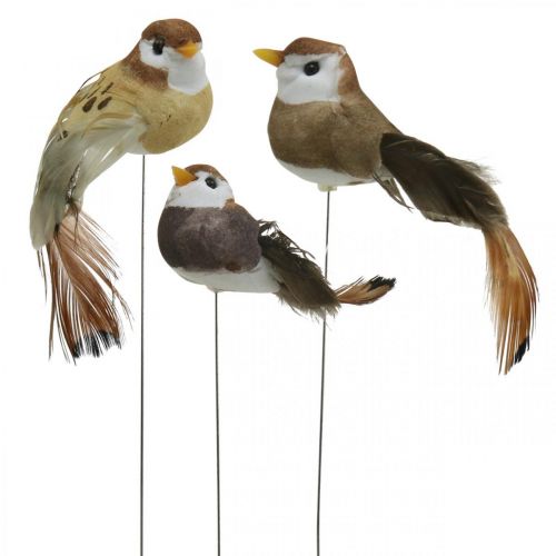 Floristik24 Jarní dekorace, mini ptáčci, dekorativní ptáčci na drátě hnědá, béžová V2,5cm 24ks