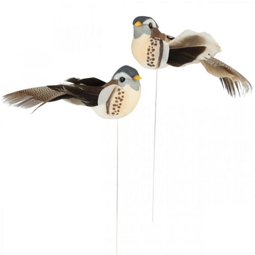 Floristik24 Dekorace ptáček, ptáčci na drátě, jarní dekorace modrá, hnědá V3,5cm 12ks