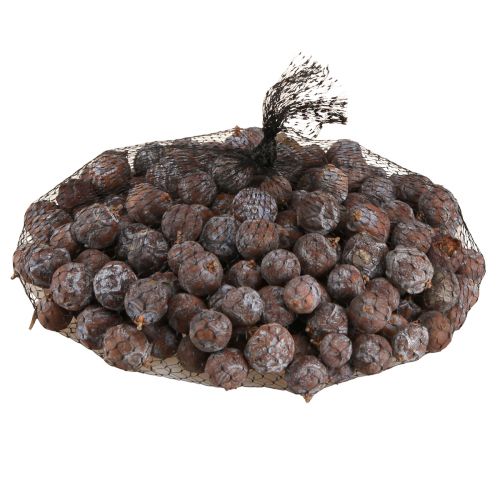 Floristik24 Jalovcové šišky Syrský jalovec přírodní Ø1,5–2,5cm 1kg