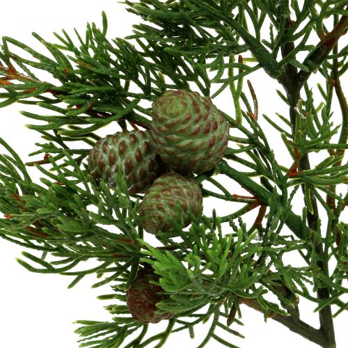 Floristik24 Jalovcová větev se šiškami zelená 39cm 3ks