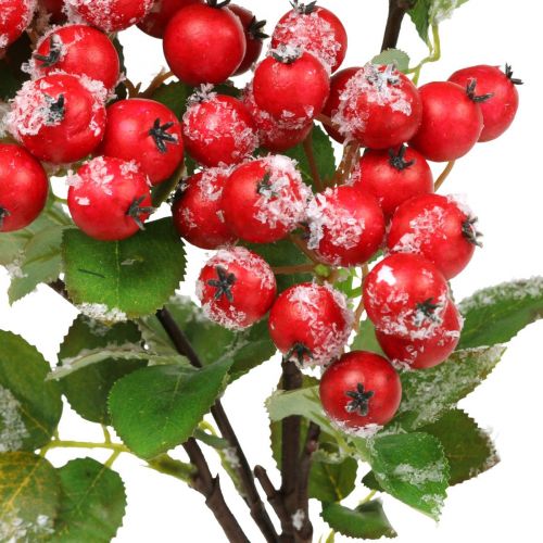 položky Vánoční větve s červenými bobulemi, zimní dekorace, harpberry red snowed L58cm
