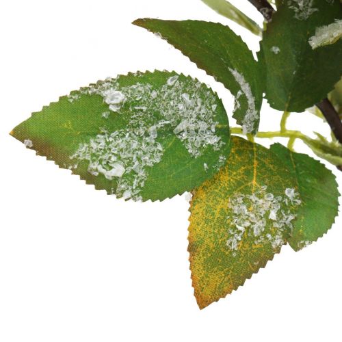 Floristik24 Vánoční větve s červenými bobulemi, zimní dekorace, harpberry red snowed L58cm