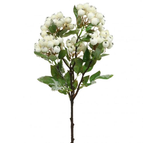 položky Vánoční větve, snowberry, umělá rostlina zasněžená L58cm