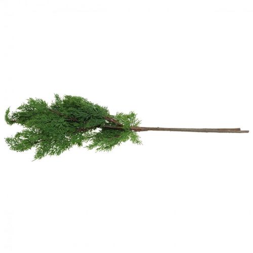 Floristik24 Vánoční větve větve cypřiše umělé zelené 72cm 2ks