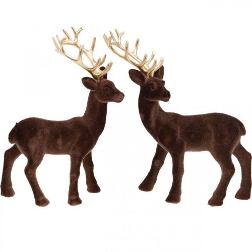 Floristik24 Vánoční dekorace jelen k umístění hnědá, zlatá 20cm 2ks