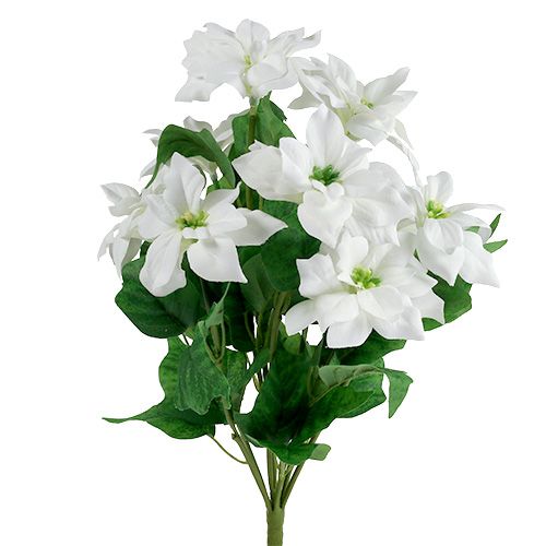Floristik24 Poinsettia kytice bílá L45cm