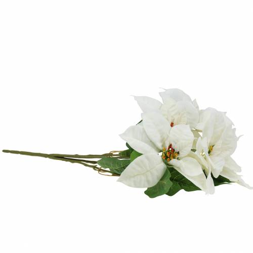 Floristik24 Kytice poinsettie bílá 52cm