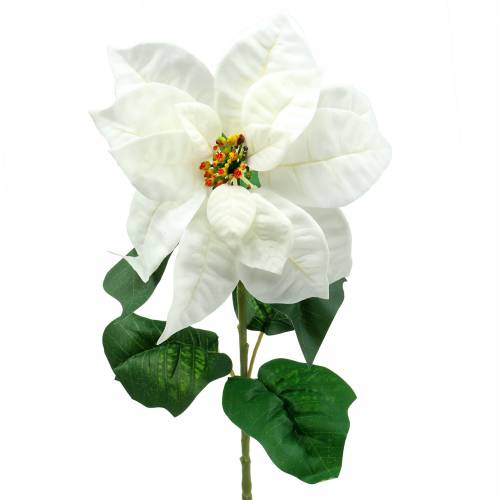 Floristik24 Umělá květina vánoční hvězda bílá 67cm