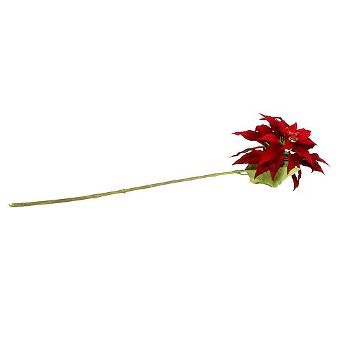 Floristik24 Vánoční hvězda červená 70cm