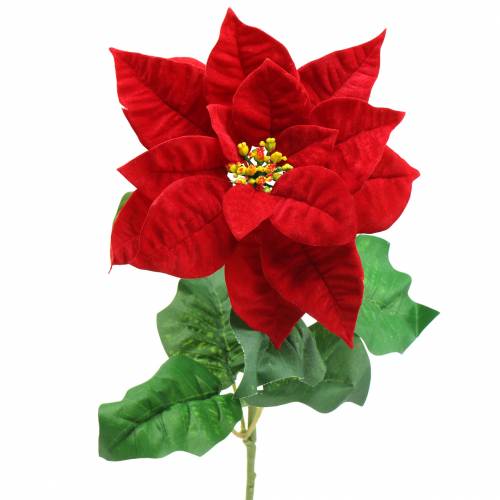 Floristik24 Umělá květina vánoční hvězda červená 67cm