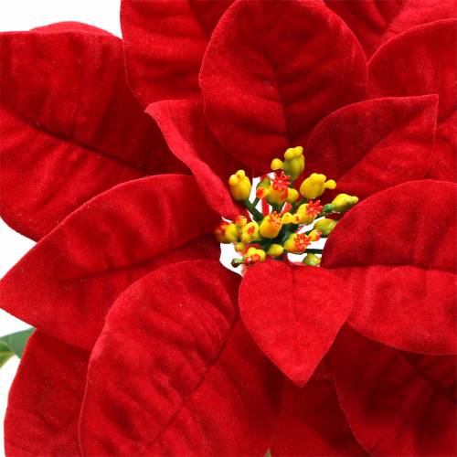 položky Umělá květina vánoční hvězda červená 67cm