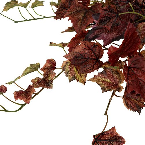 Floristik24 Věšák z vinných listů zelený, bordeaux 67cm