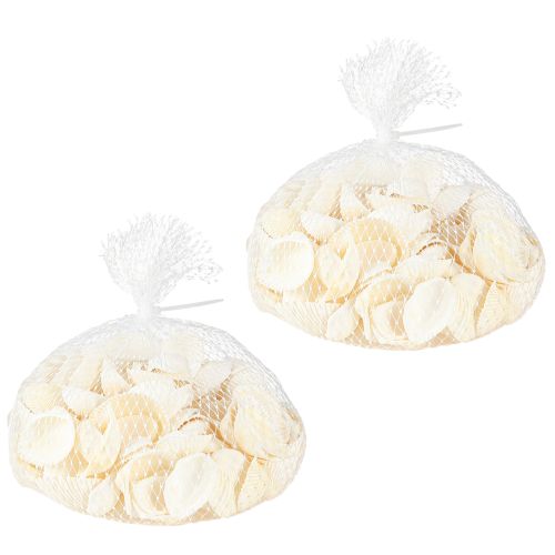 Floristik24 White Shells Dekorativní Cockles 2-3,5cm 300g × 2ks