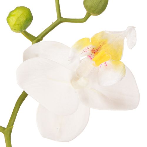 položky Umělé květiny bílé orchideje v květináči Phalaenopsis V33cm