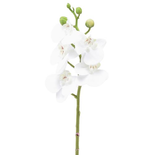 Floristik24 Bílá umělá orchidej Phalaenopsis Real Touch 32cm
