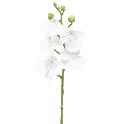 položky Bílá umělá orchidej Phalaenopsis Real Touch 32cm