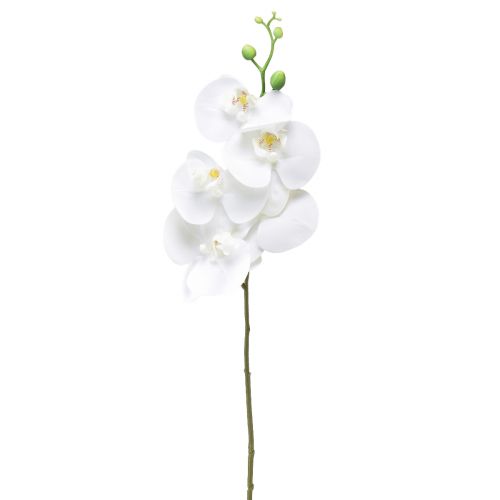 Bílá umělá orchidej Phalaenopsis Real Touch 85cm