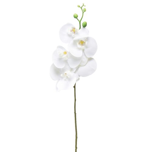 Floristik24 Bílá umělá orchidej Phalaenopsis Real Touch 85cm