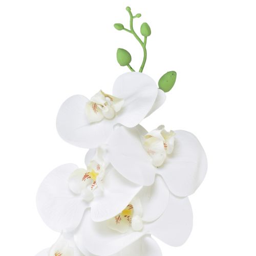 položky Bílá umělá orchidej Phalaenopsis Real Touch H83cm