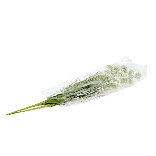 Floristik24 Luční květy bílé L60cm 3ks