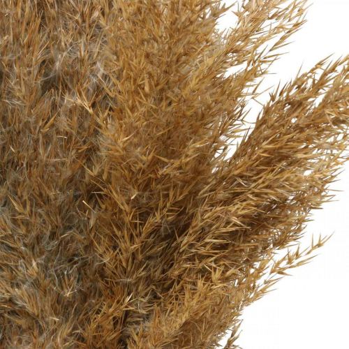 položky Ostřice suchá přírodní suchá dekorace 75cm 10 ks
