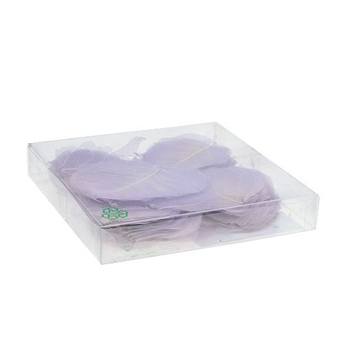 Floristik24 Vrbové listy skeletonizované světle fialové 200 ks.