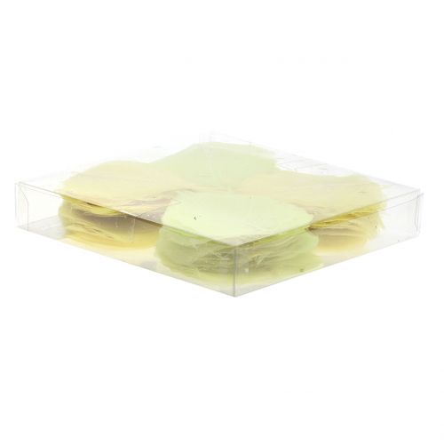 Floristik24 Vrbové listy skeletonizované žluté mix 200 ks