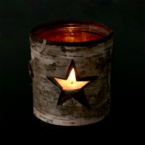 Floristik24 Lucerna hvězda s břízou Ø10,5cm V11cm 1ks