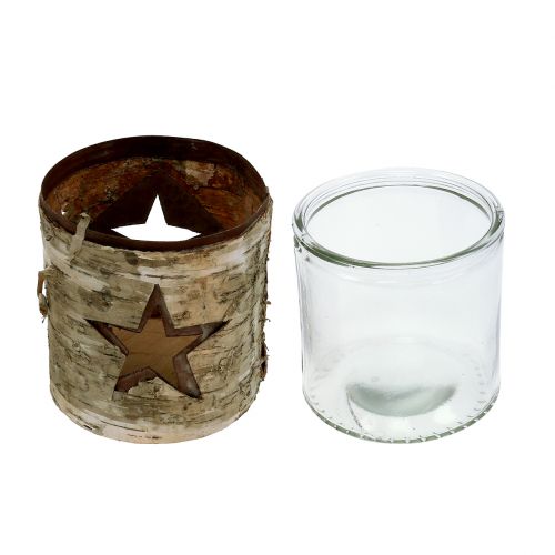 Floristik24 Lucerna hvězda s břízou Ø10,5cm V11cm 1ks