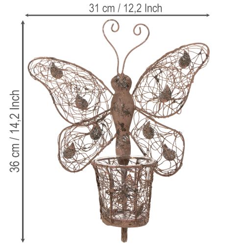 Kovová lucerna, nástěnná dekorace, motýl, rezavá úprava, 36,5 cm | Floristik24.cz